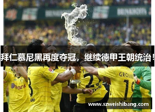 拜仁慕尼黑再度夺冠，继续德甲王朝统治！