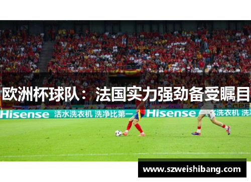 欧洲杯球队：法国实力强劲备受瞩目